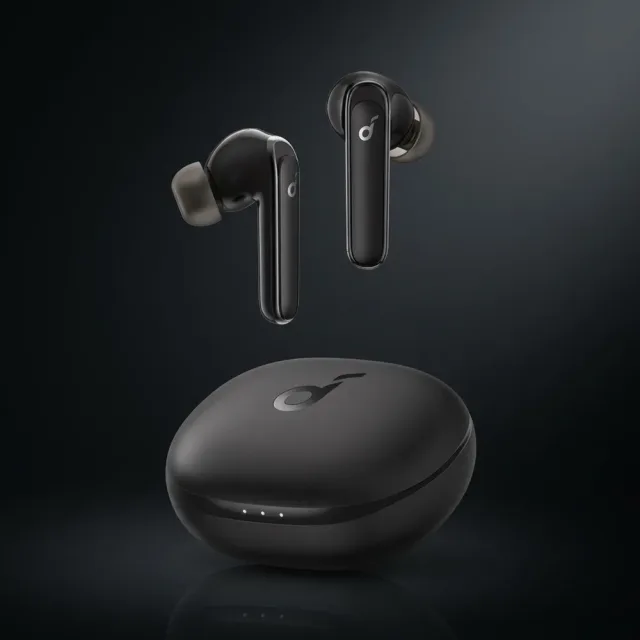 Soundcore by Anker Life P3